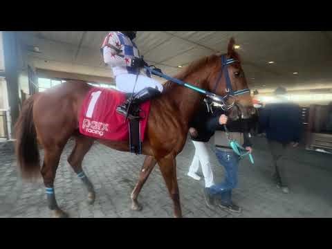 A snappy win for 3 yr old colt Knockanarrow & jockey Andy Hernandez at Parx Racing