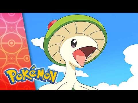 Journey to the Unown! | POKÉMON FULL EPISODE 8 | Season 11