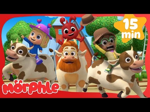 Top 5 Epic Animal Adventures! 🐮🐘🐒 Cartoons for Kids | Mila and Morphle