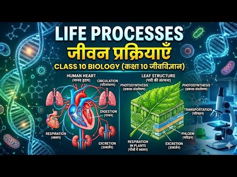 Life Processes Class 10 Science | जीवन प्रक्रियाएँ | Full Chapter Explanation