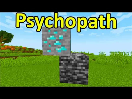 Types of people portrayed by Minecraft #30