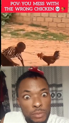 POV: This might be a human being but inform of chicken🤣🤣🤣#shorts #video