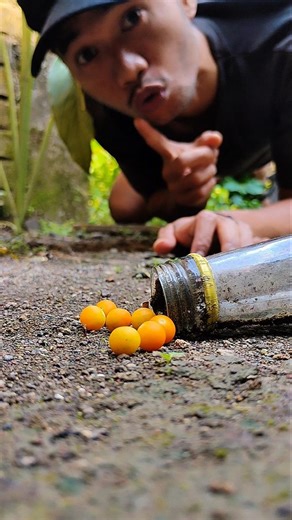 see a millipede enter a glass bottle