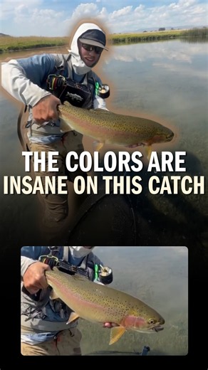 The colors on this trout 👀