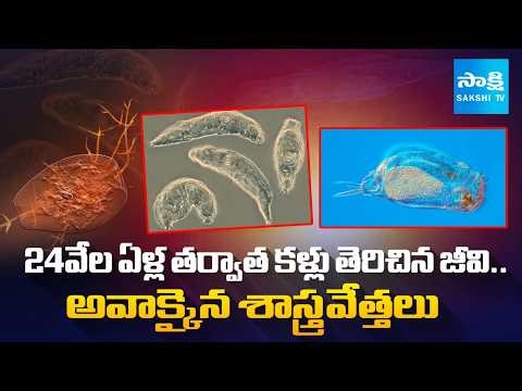 A 24,000-Year-Old Creature Comes Back to Life | Science Breakthrough Explained‪@SakshiTVDigital‬