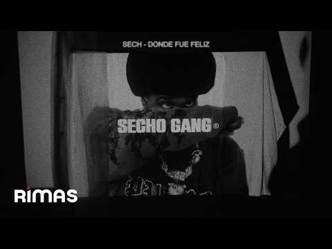Sech - DONDE FUE FELIZ (Visualizer)