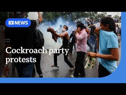 Police fire tear gas and charge on Delhi protesters  | The World | ABC NEWS