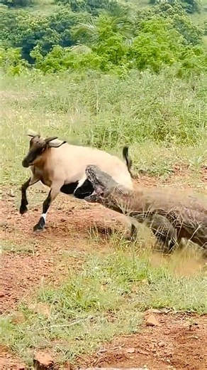 😱The struggle against fate