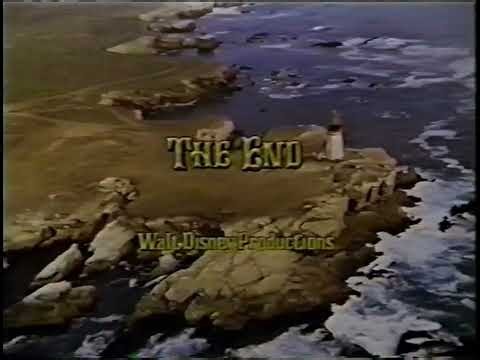 Walt Disney Productions/Buena Vista Television (1977/1988)