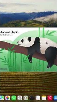 Download and Install Android Studio on Apple MacOS (2026) - CS Pathfinder