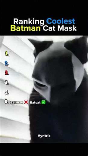 Ranking Coolest Batman Cat Mask 💀