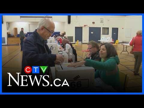 Voter information leak 'very concerning': analyst | Alberta Primetime
