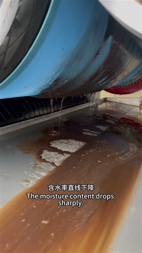 What to Do If Peat Moss Is Too Wet? Uncover the Peat Moss Dewatering Miracle! #Peat moss dewatering