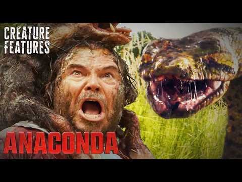 Surviving The Anaconda Regurgitation | Anaconda (2025) | Creature Features