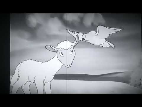 Animal Farm - Off The Grid