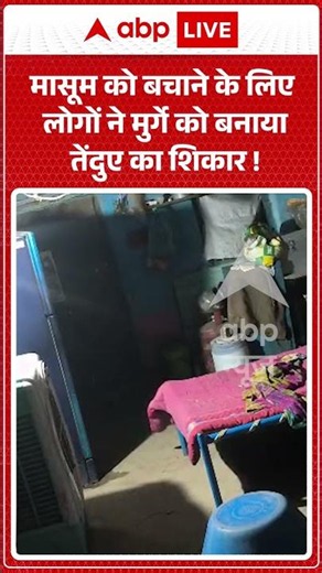 Viral Video : मासूम को बचाने के लिए लोगों ने मुर्गे को बनाया तेंदुए का शिकार ! | #LeopardAttack