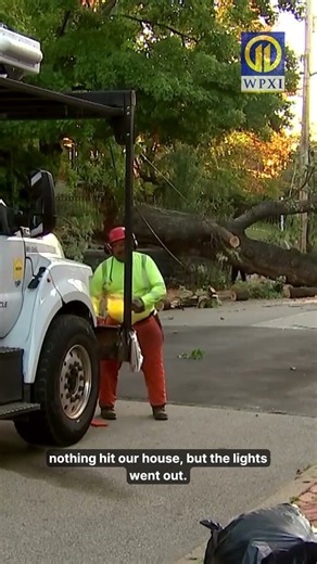 Massive tree falls in Pittsburgh’s Manchester neighborhood, bringing down wires, snapping pole