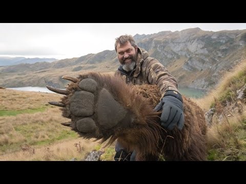 Biggest Prehistoric Creatures and Animals Make Whales Look Tiny