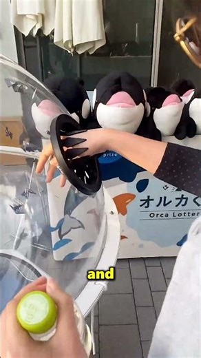 This Boy Became A Millionaire By Catching A Paper Butterfly 😱