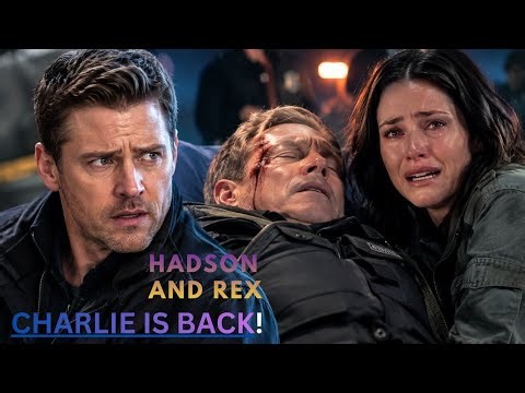 Hudson & Rex Season 9 Episode 2: Rex Has To Pick A Hudson And Someone Gets Hurt!