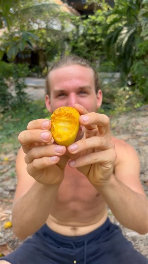 Most Incredible Fruits Worth Trying — Top Exotic Fruits to Taste