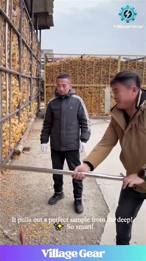 This is The SECRET to Checking a MOUNTAIN of Corn! 🤯 Watch This GENIUS Sampler in Action! #corn