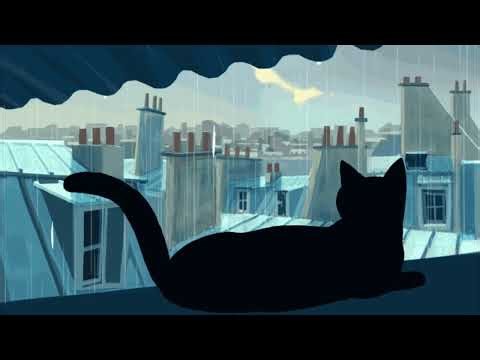 lofi hip hop radio 🌧️ beats to relax/study to