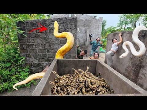 Brave soldiers used high-tech snake detectors to locate the giant python's nest.