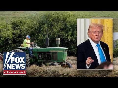 Trump's plan to anchor peace through American farmers REVEALED