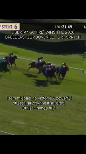 LIBERTANGO (IRE) WINS THE 2026 BREEDERS' CUP JUVENILE TURF SPRINT!