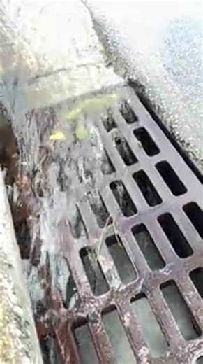 Major flooding in Miami Beach during king tide