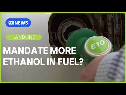 Fields of Fuel: Should we mandate more ethanol from sugarcane? | Landline | ABC NEWS