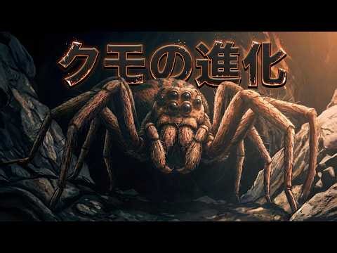 クモはどのようにしてクモになったの？｜知れば知るほど奇妙な動物、クモ！
