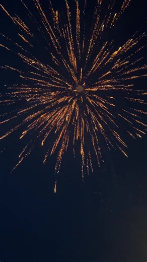 Best 4” shell #fireworks #viral #fyp #pretty #loud #shell #