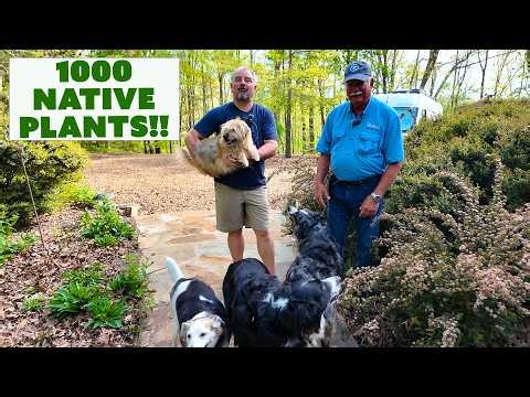 Native Plants: 10 Must-Haves from a 1,000+ Plant Nursery (and 4 Dogs!)