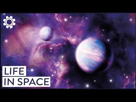 Wonders Of The Universe: Finding Life In Space