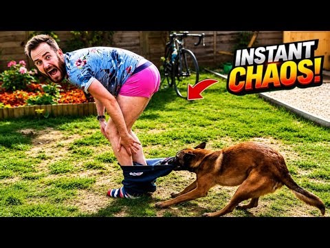 Unexpected Fails That Broke The Internet Caught on Camera 😂