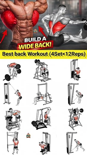 Powerfull Back Workout to Transform Upper Body 💥 ☠️ #workout #gymlife #backworkout