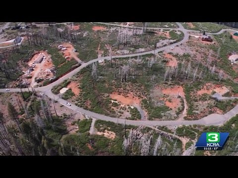 5 years after Caldor Fire, hundreds of dead and unstable trees in Grizzly Flats remain a threat