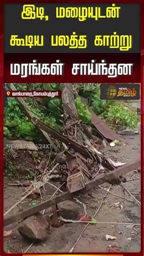 CoimbatoreRain | WeatherUpdate | இடி, மழையுடன் கூடிய பலத்த காற்று மரங்கள் சாய்ந்தன