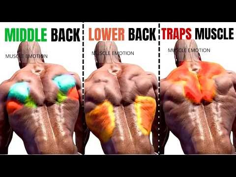 12 BEST BACK WORKOUT AT GYM