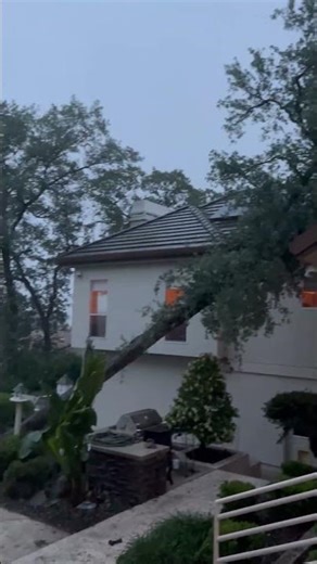 Tree falls on home during storm in El Dorado Hills