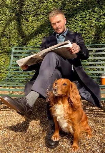 Morning treats… ☕️🐕 | david beckham