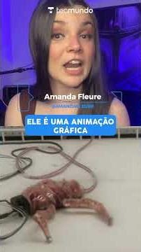 ESSE É O ROBÔ MAIS PERTURBADOR QUE VOCÊ VAI VER!