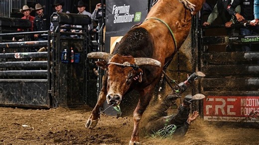 This bull just won PBR bull of the year - and riders still fear him