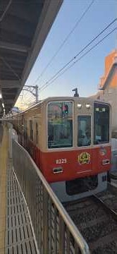 阪神8000系8225F(赤胴車復刻塗装･阪神タイガース2026セリーグ連覇ラッピング･副標)大阪梅田行き特急 阪神本線甲子園駅