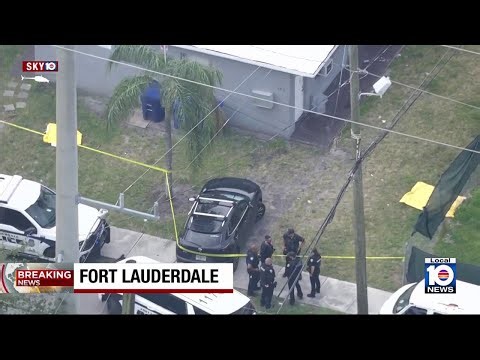 Police: 2 dogs dead, 2 dogs and man injured after fight, shooting