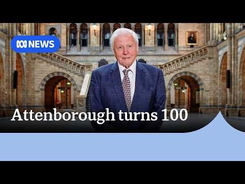Voice of the Natural World: Sir David Attenborough celebrates 100th birthday | ABC NEWS