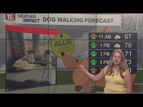 Dog walking forecast: Mix of yellow, green paws due to on-and-off wet weather | Good Day on WTOL 11