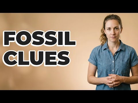 How Do Fossils Correlate Rock Layers?